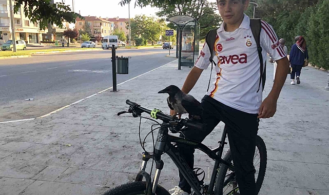 Karga ile lise öğrencisinin dostluğunu görenler imreniyor
