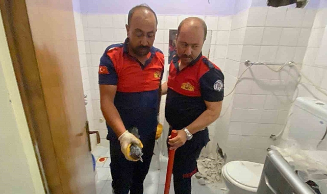 Karga yavrusu kurtarıldı havalandırma boşluğuna sıkışmıştı
