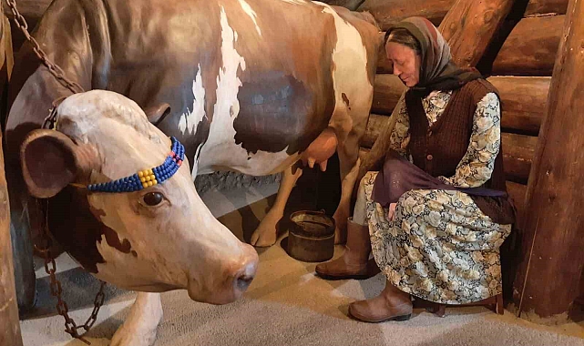Kars'ın Peynir Müzesi bayram tatilinde yoğun ilgi gördü