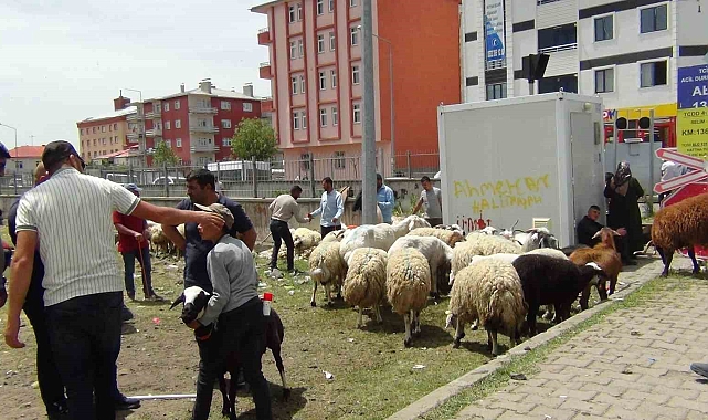 Kars'ta Kurban Bayramı yoğunluğu Yaşandı