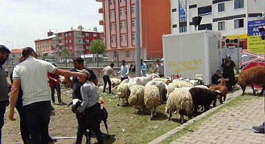 Kars'ta Kurban Bayramı yoğunluğu Yaşandı
