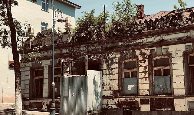 Kars'ta tarihi binanın üzerinde ağaç yetişti