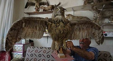 Koleksiyoncu Sıra dışı koleksiyon şaşırtıyor