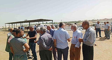 Kurbanlıklar alıcılarını bekliyor Malatya'da