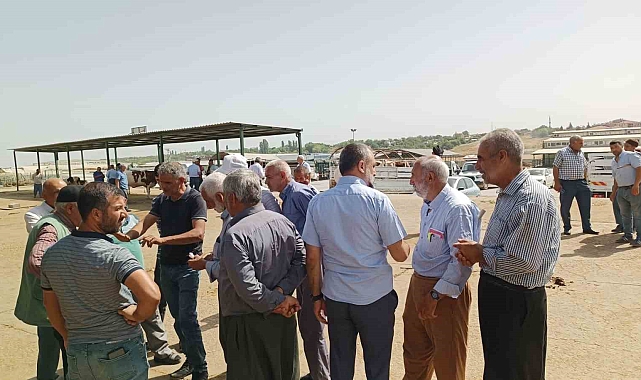 Kurbanlıklar alıcılarını bekliyor Malatya'da