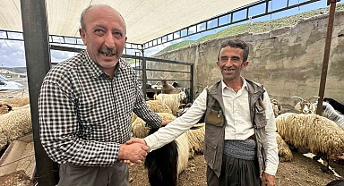 Kurbanlıklar görücüye çıktı Yüksekova'da