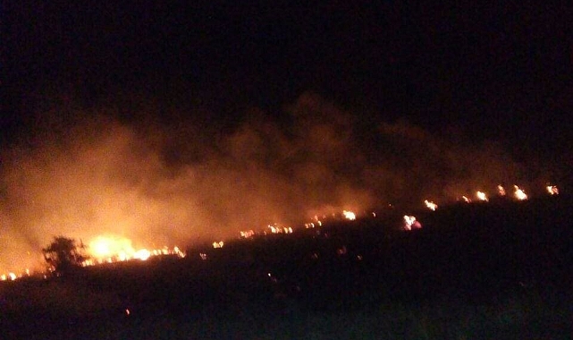 Malatya'da orman yangını