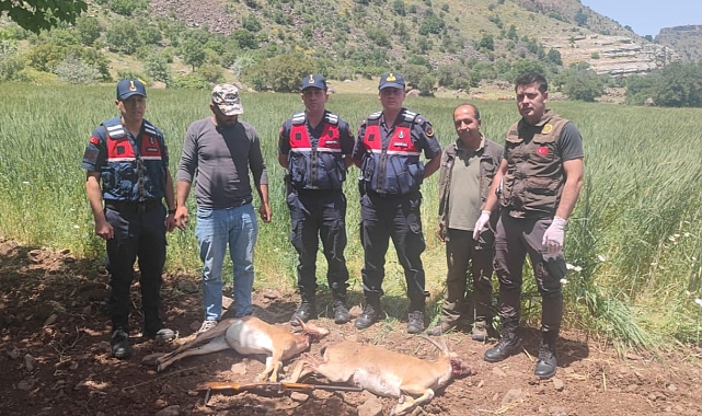 Malatya'da yaban keçisi avına 613 bin 980 TL ceza