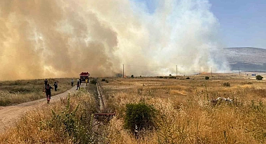 Malatya'nın Akçadağ ilçesinde korkutan örtü yangını