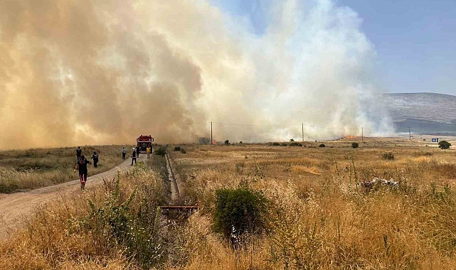 Malatya'nın Akçadağ ilçesinde korkutan örtü yangını
