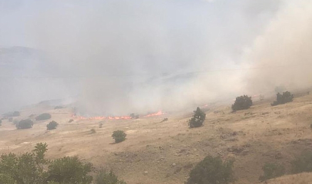 Malatya'nın Arguvan ilçesinde anız yangını
