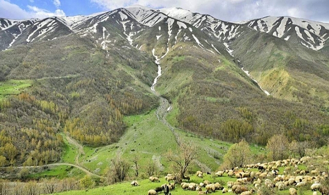 Muş'ta hangi dağlar var? Muş'ta kaç tane dağ var?