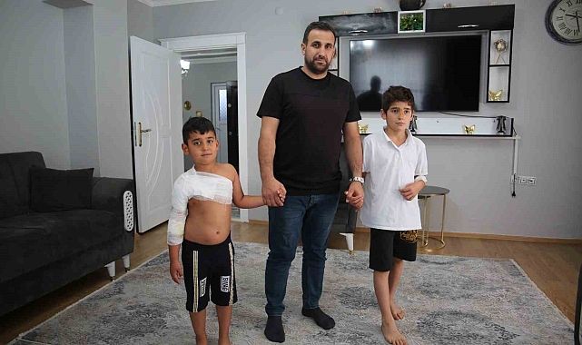 Muş'ta sahipsiz köpekler dehşet saçtı: İki kardeş yaralandı