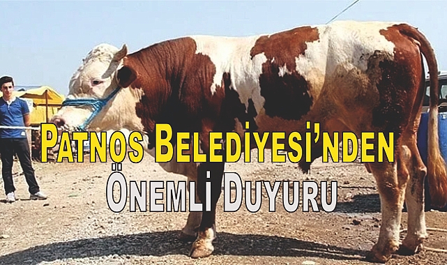 Patnos Belediyesi Duyurdu: Bayram Günü Kasaplar Çarşısı'nda Kesim Yapılmayacak Dikkat!