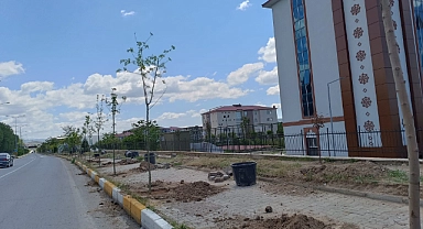Patnos'ta Ağaçlandırma Çalışmaları Devam Ediyor