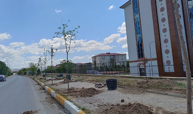 Patnos'ta Ağaçlandırma Çalışmaları Devam Ediyor