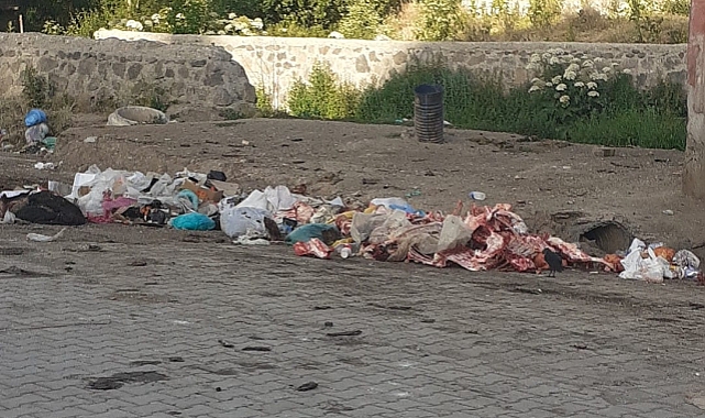 Patnos'ta Çöp ve Çevre Kirliliği Sorunu