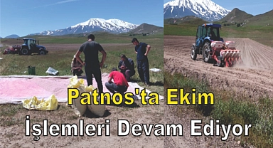 Patnos'ta Ekim İşlemleri Devam Ediyor