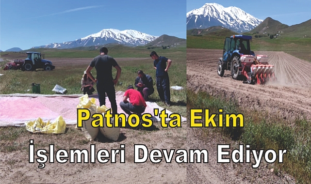 Patnos'ta Ekim İşlemleri Devam Ediyor