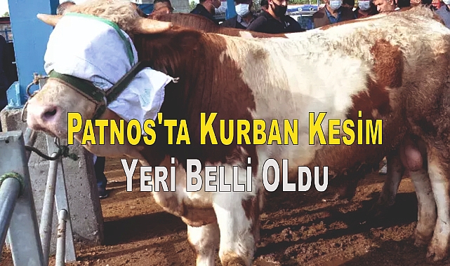 Patnos'ta Kurban Bayramı Süresince Kasap Caddesi'nde Kurban Kesimi Yasak!