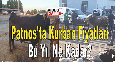 Patnos'ta Kurban Fiyatları Bu Yıl Ne Kadar?