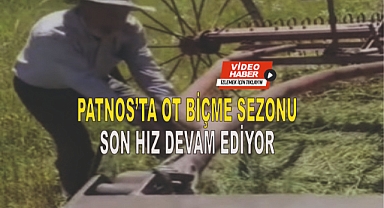 Patnos'ta Ot Biçme Sezonu Son Hız Devam Ediyor: Son Yıllarda Gündem Olan Video Tekrar Akıllara Geliyor!