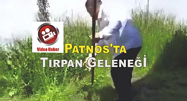 Patnos'ta Tırpan Geleneği: Bağ Bahçe Ot Biçmedeki Gözde İş