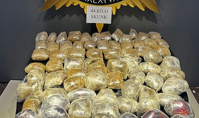 Polis ekipleri 44 kilogram skunk ele geçirildi