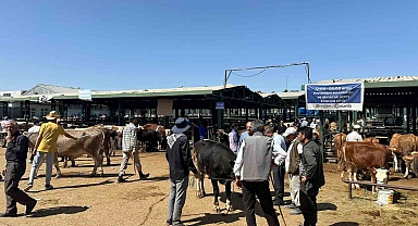 Polis yetiştiriciyi dolandırıcıdan kurtardı