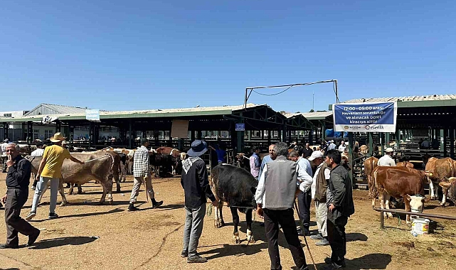 Polis yetiştiriciyi dolandırıcıdan kurtardı