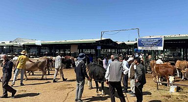 Polis yetiştiriciyi dolandırıcıdan kurtardı