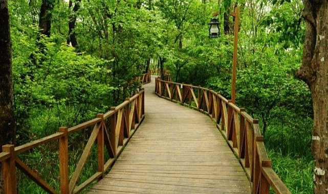 Samsun'da ailecek nereye gidilir? Samsun'da aileyle gezilecek yerler nerede?
