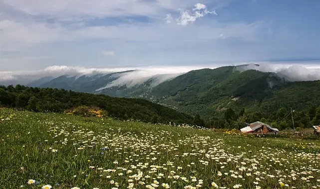 Samsun'da hangi dağlar var? Samsun'da kaç tane dağ var?