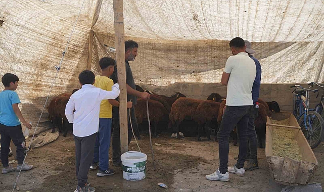 Sıkı pazarlıklar başladı Hayvan pazarı çarşıya taşındı