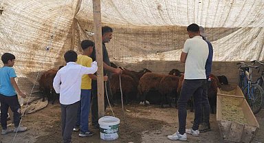 Sıkı pazarlıklar başladı Hayvan pazarı çarşıya taşındı