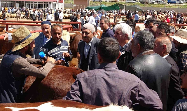 Sıkı pazarlıklar başladı Van'da kurban pazarlarında