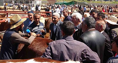 Sıkı pazarlıklar başladı Van'da kurban pazarlarında
