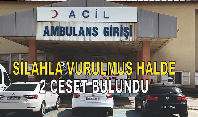 Silahla vurulmuş halde 2 ceset bulundu