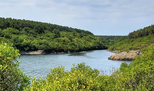 Sinop Tatil Yerleri: Denizin ve Yeşilin En Güzel Hali