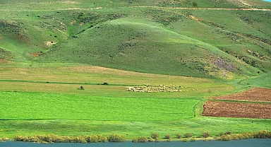 "Süt ürünleri üretimi gelişime Erzurum'da açık"