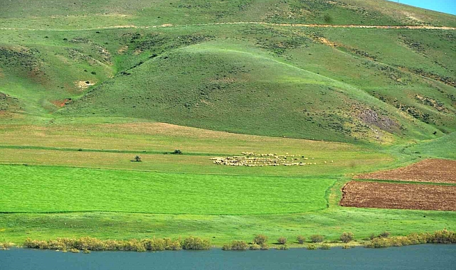 "Süt ürünleri üretimi gelişime Erzurum'da açık"