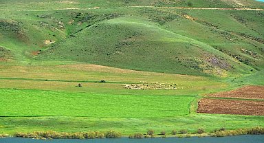 "Süt ürünleri üretimi gelişime Erzurum'da açık"