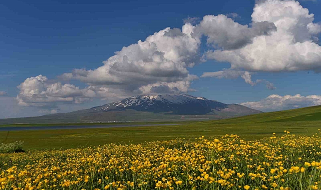 Sütey Yaylası ve Süphan Dağı'ndan hayranlık uyandıran görüntüler