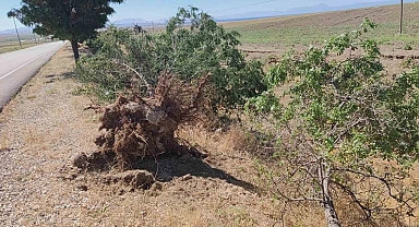 Toz bulutu Adilcevaz'da hayatı olumsuz etkiledi