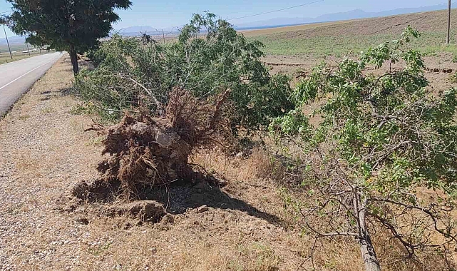 Toz bulutu Adilcevaz'da hayatı olumsuz etkiledi