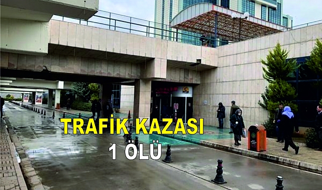 Trafik kazası1 ölü