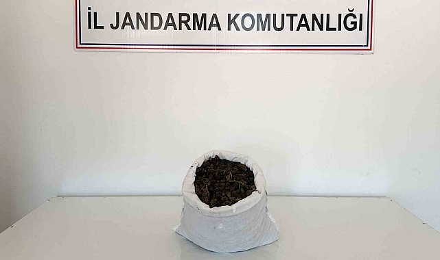 Uyuşturucu madde ele geçirildi Bingölde