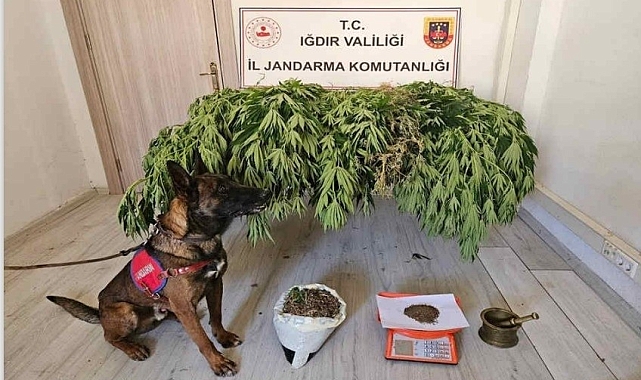 Uyuşturucu operasyonu: 2 kişi yakalandı