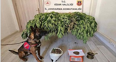 Uyuşturucu operasyonu: 2 kişi yakalandı