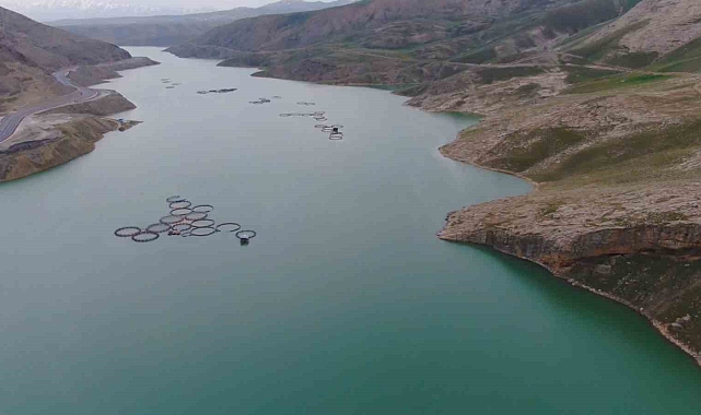 Van'da barajlar doldu taştı